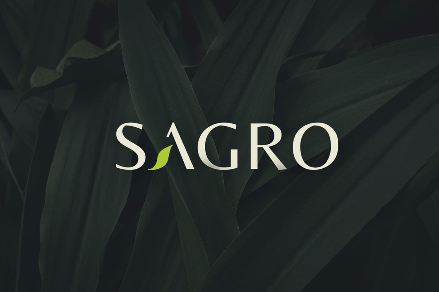 Sagro project